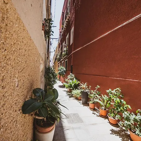 Maestrale - Quartiere Castello Semesterbostad Cagliari